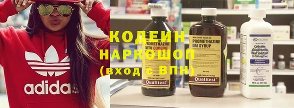 apvp Иннополис