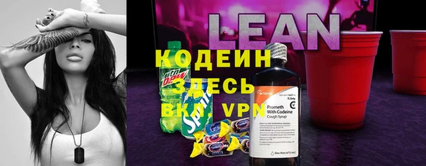 apvp Иннополис