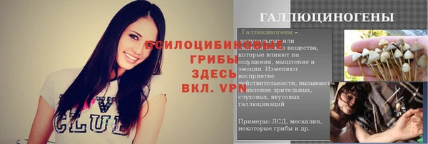 а пвп мука Инсар