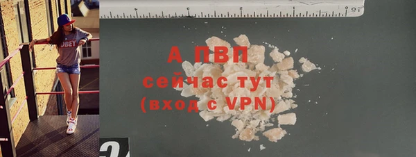 эйфоретик Инта