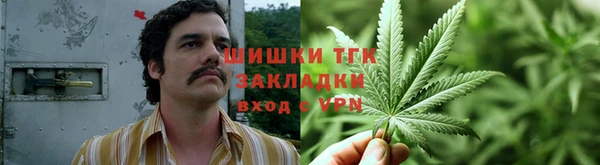 эйфоретик Инта