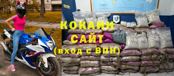 apvp Иннополис