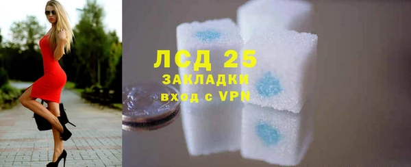apvp Иннополис