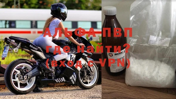 эйфоретик Инта