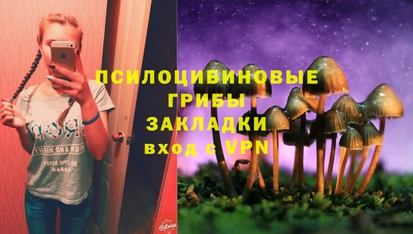apvp Иннополис