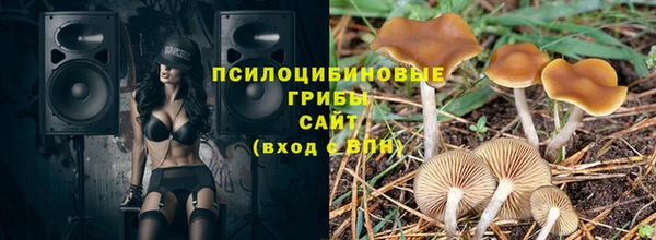 apvp Иннополис