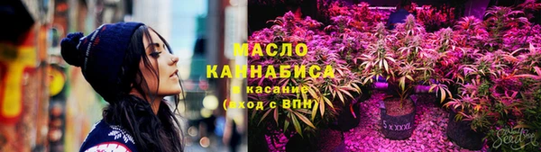 apvp Иннополис